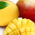 Nace la marca ‘Mango de Málaga’ para distinguir la calidad en origen de esta fruta cultivada en la Axarquía